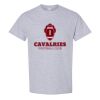 Heavy Cotton™ T-Shirt  Thumbnail